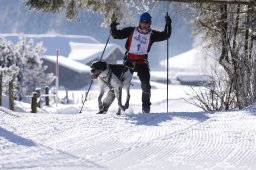 Lenk 2013